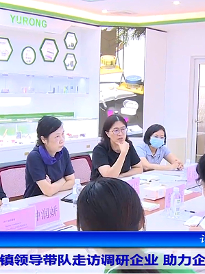 寮步镇党委书记赵智佳走访PG电子游戏集团注塑模具加工